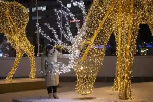 3 дня за полярным кругом: тур с проживанием в купольном отеле премиум-класса - 7