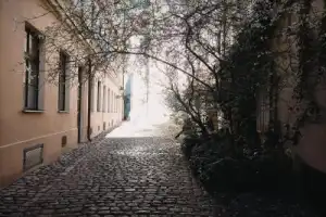 Дворы, задворки и подворотни Старого города - 4