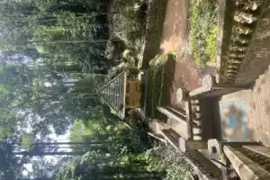 Экскурсия-треккинг: джунгли Пхукета + водопад - 8