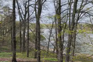 Волшебное Царицыно - 8