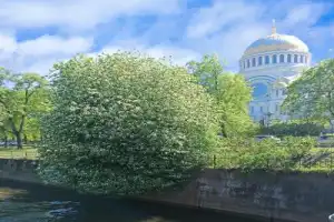 Кронштадт — мифы и реальность - 14