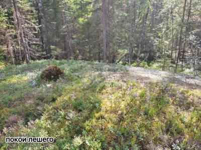 Лешего бояться — Карелию не видать - 14