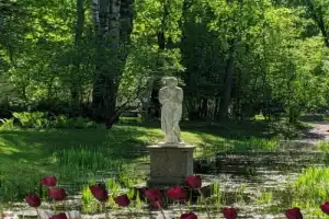 Истории любви на аллеях Павловского парка. - 2