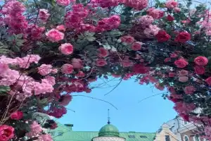 Выборг: город из другого измерения (в мини-группе) - 14