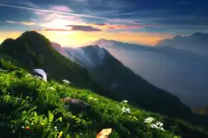 Прогулка по альпийским лугам
