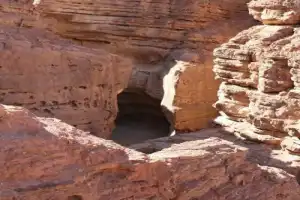 Эйлатское сафари - 2