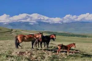 Джилы-Су: горы, водопады и ущелья - 2