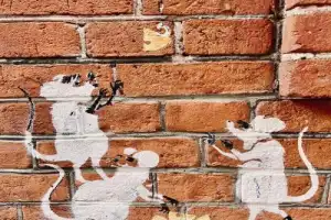 Сладкая экскурсия по истории «Красного Октября» и его окрестностям - 6