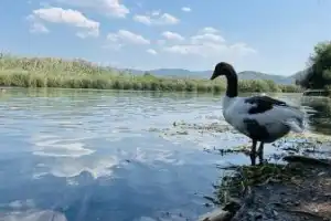 В Акьяку — из Мармариса - 5