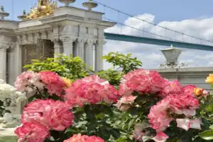 Великолепный век Стамбула: дворец Топкапы и мечеть Сулеймание