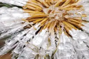 Экодень в окрестностях Нальчика - 12
