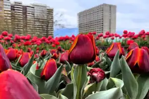 Настоящая Махачкала - 4