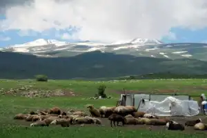 Природа и древности Армении: Арагац, Сагмосаванк, Амберд — из Еревана - 7