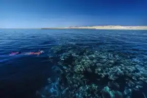 Прогулка из Хургады на красивой яхте по Красному морю Прогулка из Хургады на красивой яхте по Красному морю