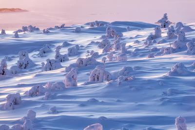 Фотоэкспедиция «Сказка Южного Заполярья» - 3