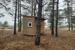 Из Воронежа — в экопарк «Долина пчёл» - 4