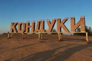 Кондуки и Богородицкий дворец (из Тулы) - 2