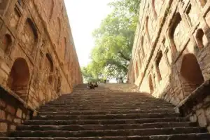 Нетуристический Дели: авто-пешеходная экскурсия - 15