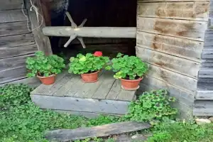 Кашин — «город русского сердца» - 9