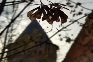 Сказочные жители Смоленска - 2