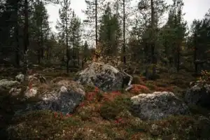 Русский Север и его стихии - 3
