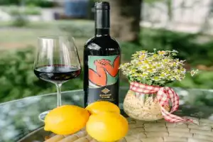 За видами и винами — на Собер Баш! - 16