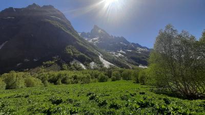 В Домбай по незабываемому маршруту В Домбай по незабываемому маршруту