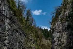 Из Пицунды — к красавице Рице - 9