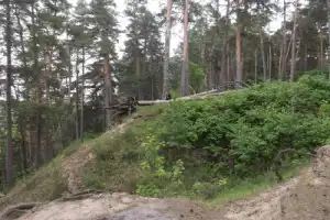 Дыхание Солотчи: путешествие из Рязани на вашем авто - 6