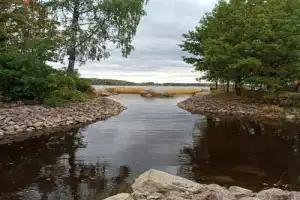 В Монрепо — со старожилом - 3