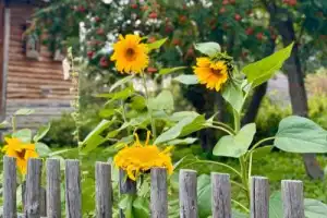 Детская экскурсия в Музей деревянного зодчества - 11