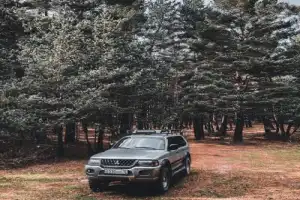 Заповедное Цейское ущелье — зарядиться энергией гор! Индивидуальная экскурсия - 23