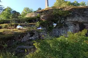 В Монрепо — со старожилом - 8