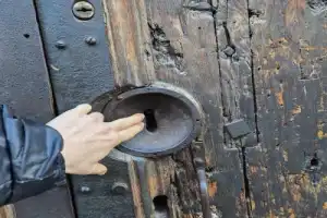 Медичи и Микеланджело - 20