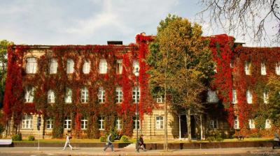 Влюбиться в Гродно: 3 грани города за 3 часа - 7