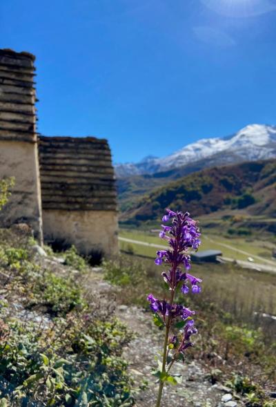 Поездка в группе «Осетия — любовь с первого взгляда!» - 13