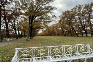 В Екатерининский и Александровский дворцы и парки — на комфортабельном автомобиле - 21