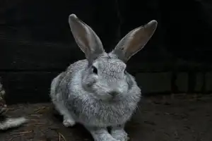 Из Мурманска — в саамскую деревню - 7