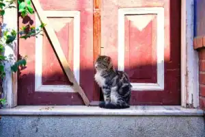 Стамбул, о котором вы не знали - 7