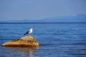 Из Улан-Удэ — на Байкал! - 3