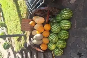 Ташкент: колорит Старого города - 8