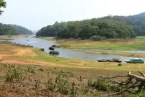 Тигры в дикой природе: заповедная и популярная Индия - 7