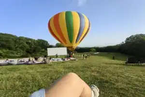 Путь чайного листа в Сочи - 3