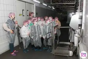 Экскурсия на фабрику мороженого BRandICE с дегустацией (6+) - 6