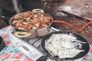 Детокс в Карелии: место силы, дары леса и походная романтика (всё включено) - 4