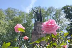Последнее пристанище белоэмигрантов - 3
