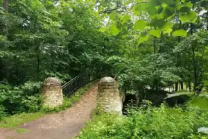 Усадьба Кузьминки: опыт погружения - 6