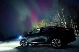 Териберка за 1 день: посёлок, китовое сафари и дегустация морепродуктов - 26