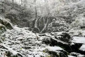 Треккинг к водопаду Кейва - 11