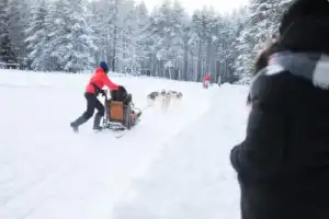 Карелия за 2 дня: из Петрозаводска в завопедник «Кивач» и парк «Рускеала» - 13